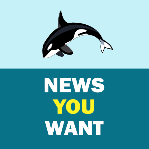 News You Want